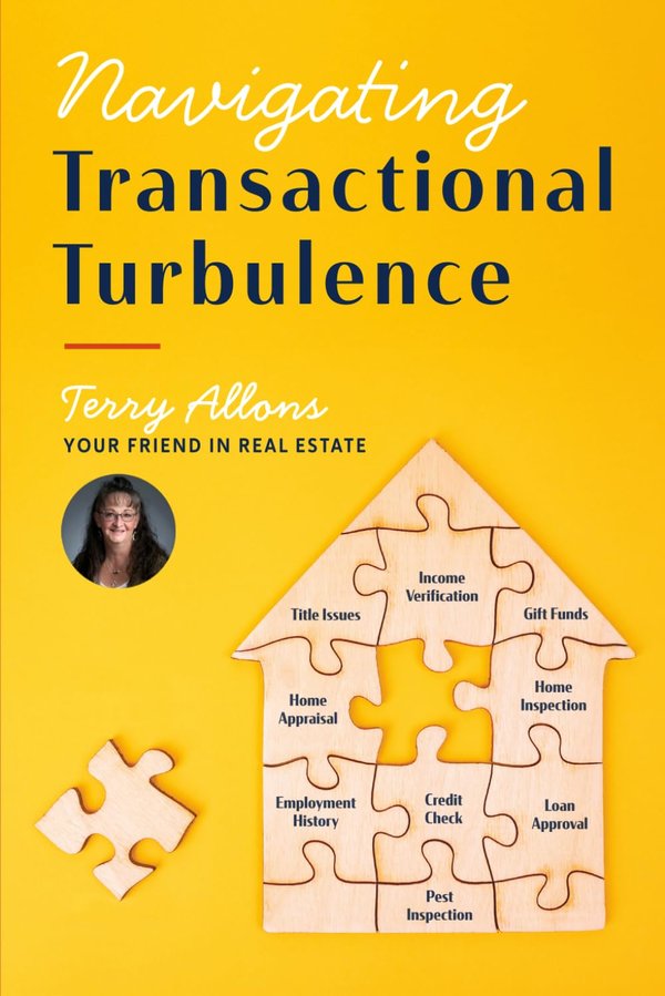 Navigating Transactional Turbulence by Terry Allons, book cover